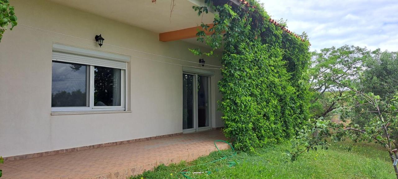 Villa Hill View 4 Alejandrópolis Exterior foto